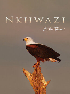 cover image of Nkhwazi